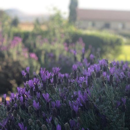 Mount High Luxury Country Estate Villa Lydenburg Bagian luar foto
