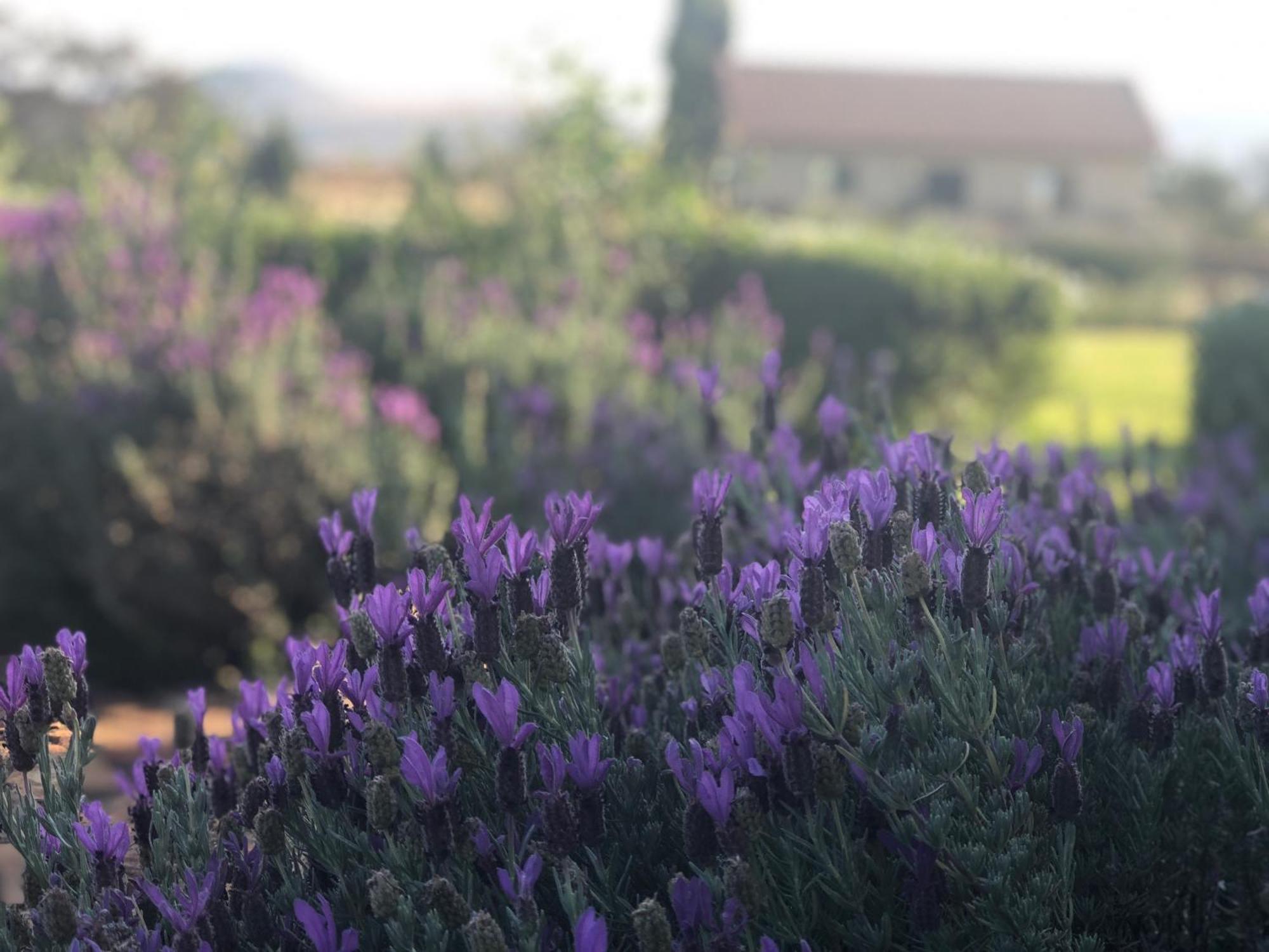 Mount High Luxury Country Estate Villa Lydenburg Bagian luar foto
