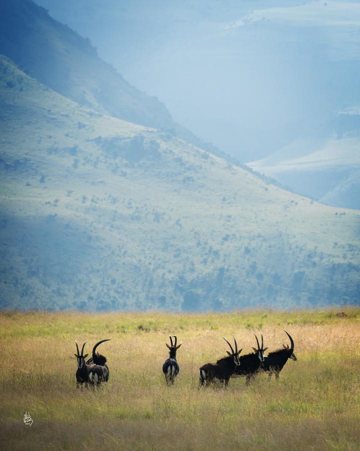 Mount High Luxury Country Estate Villa Lydenburg Bagian luar foto