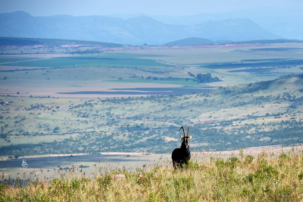 Mount High Luxury Country Estate Villa Lydenburg Bagian luar foto
