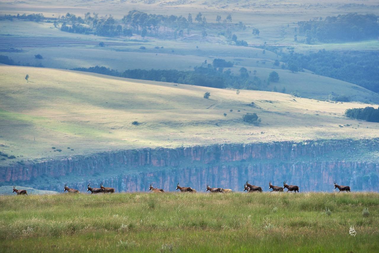 Mount High Luxury Country Estate Villa Lydenburg Bagian luar foto
